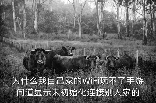 为什么我自己家的WiFi玩不了手游问道显示未初始化连接别人家的