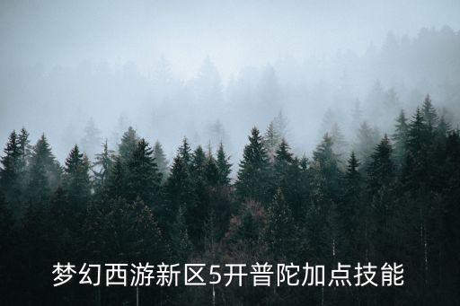 梦幻西游新区5开普陀加点技能
