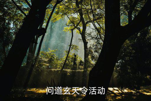 问道手游玄天令任务怎么做，问道玄天令活动