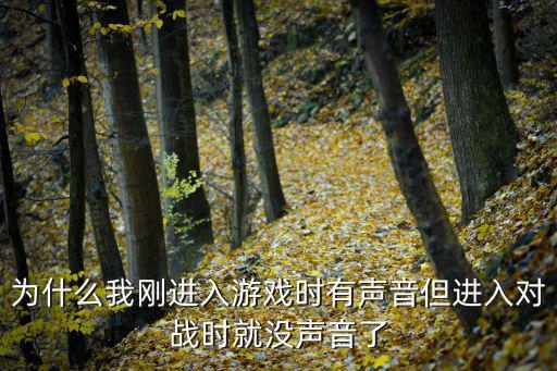 为什么我刚进入游戏时有声音但进入对战时就没声音了
