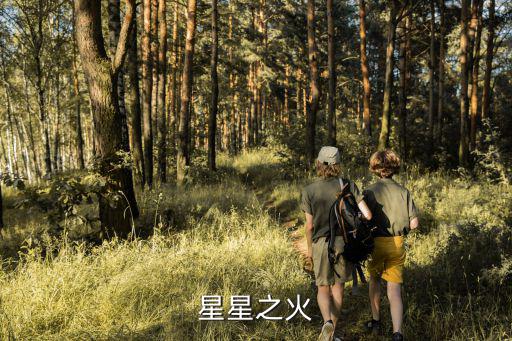 星星之火手游怎么玩，星星之火