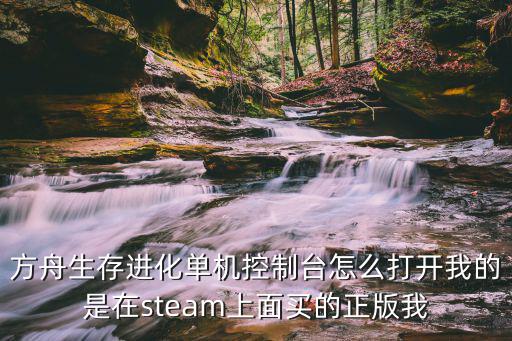 方舟生存进化单机控制台怎么打开我的是在steam上面买的正版我