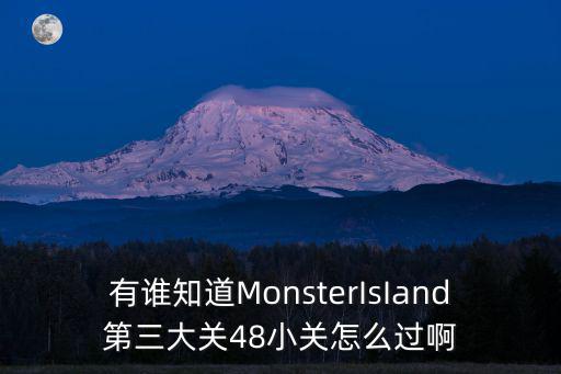 有谁知道MonsterIsIand第三大关48小关怎么过啊