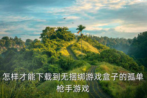 孤单枪手手游汉化版怎么下载，怎样才能下载到无捆绑游戏盒子的孤单枪手游戏
