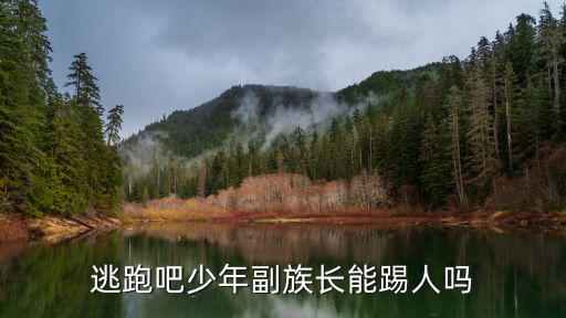 逃跑吧少年副族长能踢人吗