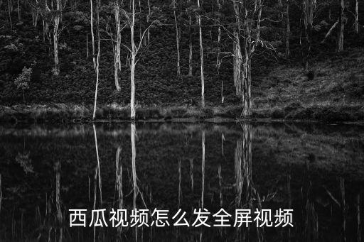西瓜视频怎么发全屏视频