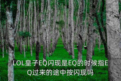 LOL皇子EQ闪现是EQ的时候指EQ过来的途中按闪现吗