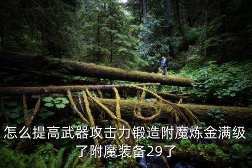 怎么提高武器攻击力锻造附魔炼金满级了附魔装备29了