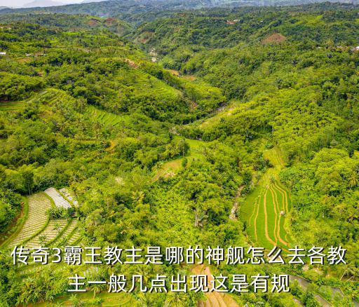 传奇3霸王教主是哪的神舰怎么去各教主一般几点出现这是有规