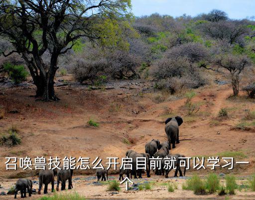 召唤兽技能怎么开启目前就可以学习一个