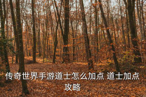 传奇世界手游道士怎么加点 道士加点攻略