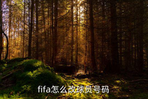 fifa怎么编辑球员号码手游，fifa online3怎么修改球员号码