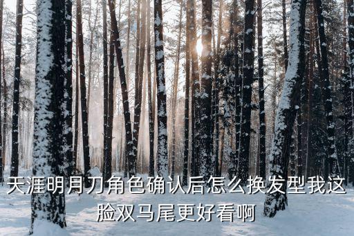 天涯明月刀角色确认后怎么换发型我这脸双马尾更好看啊
