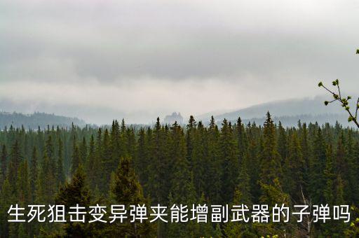 生死狙击变异弹夹能增副武器的子弹吗