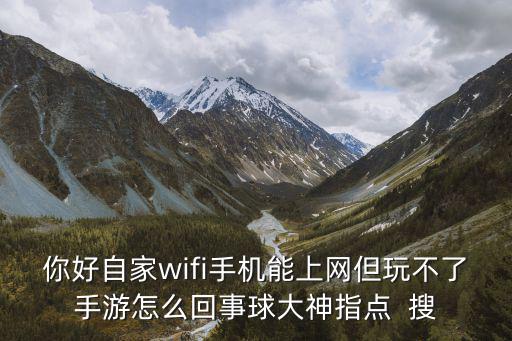 你好自家wifi手机能上网但玩不了手游怎么回事球大神指点 搜