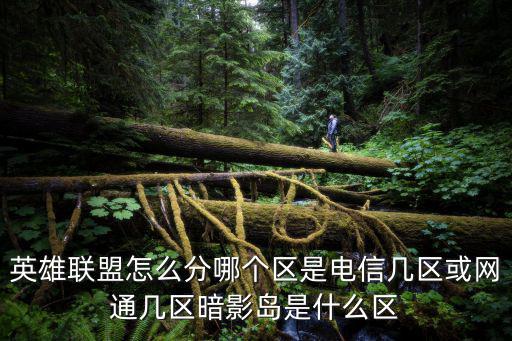英雄联盟怎么分哪个区是电信几区或网通几区暗影岛是什么区