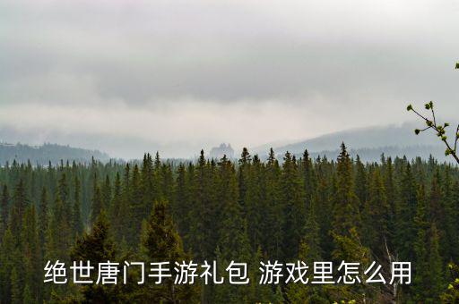 绝世唐门手游礼包 游戏里怎么用