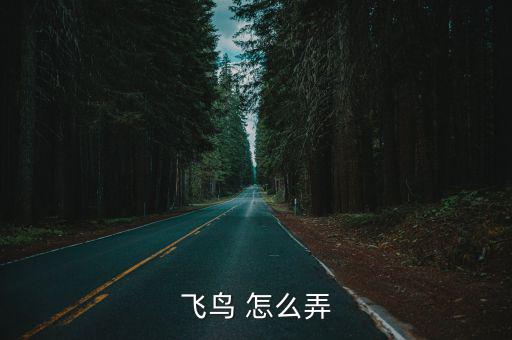 奥拉星手游飞鸟怎么获得，飞鸟 怎么弄