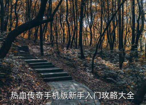 热血传奇手机版新手入门攻略大全