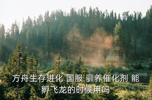 方舟生存进化 国服 驯养催化剂 能孵飞龙的时候用吗