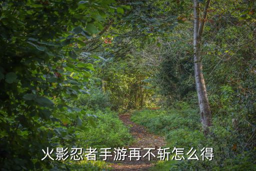 火影忍者手游再不斩怎么得