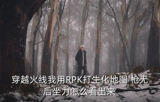 穿越火线我用RPK打生化地图 枪无后坐力怎么看出来