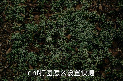 dnf打团怎么设置快捷