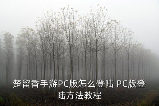 楚留香手游PC版怎么登陆 PC版登陆方法教程