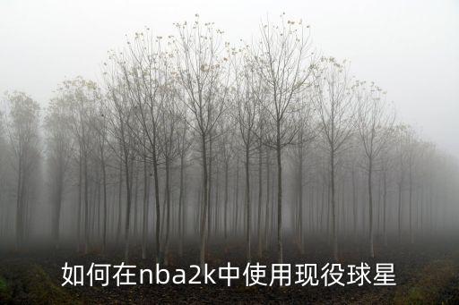 如何在nba2k中使用现役球星