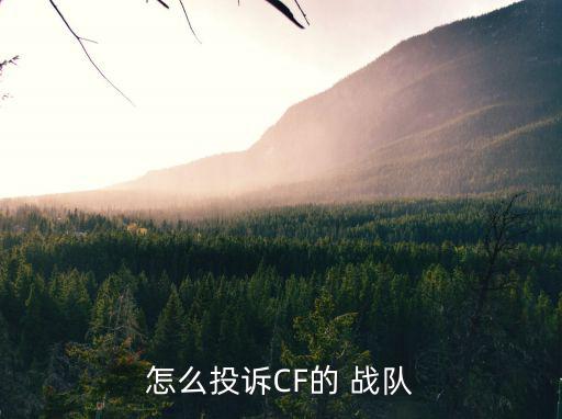 怎么投诉CF的 战队