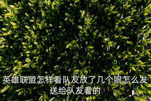 英雄联盟手游怎么看插眼统计，游戏中如何查看插眼数量