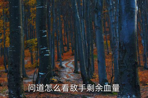 问道手游血量怎么看，CF手游怎么才能看见僵尸的血量