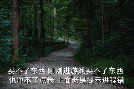 买不了东西 刚刚进游戏买不了东西 也冲不了点卷 上面老是提示进程错
