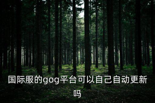 国际服的gog平台可以自己自动更新吗