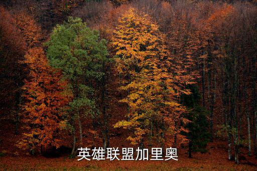 英雄联盟加里奥