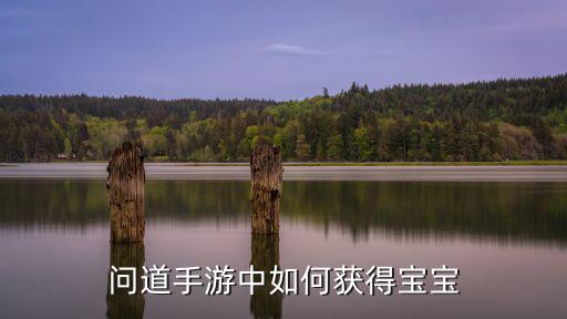 问道手游中如何获得宝宝