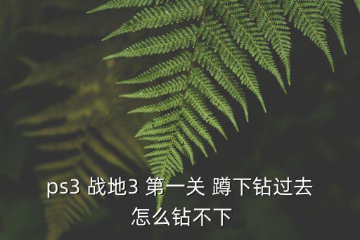 ps3 战地3 第一关 蹲下钻过去 怎么钻不下