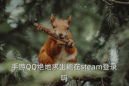 手游QQ绝地求生能在steam登录吗