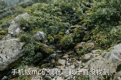 手机版mc矿洞在哪我一直没找到
