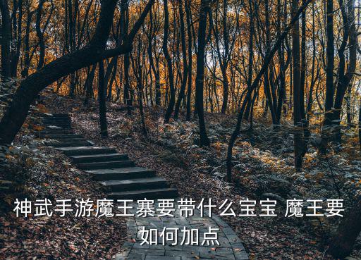 神武手游魔王寨要带什么宝宝 魔王要如何加点