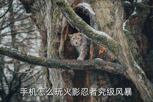 手机怎么玩火影忍者究级风暴