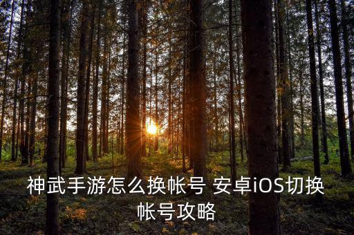 神武4手游ios怎么登陆game，神武4手游网易账号怎么登录