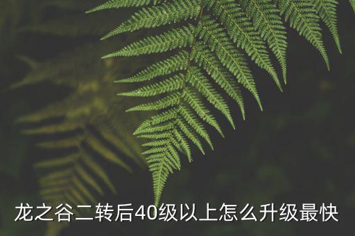 龙之谷手游2怎么升级快，现在龙之谷怎么升级快啊