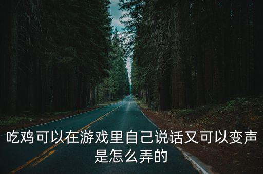 吃鸡战场手游怎么变声，绝地求生刺激战场开语音时怎样变声