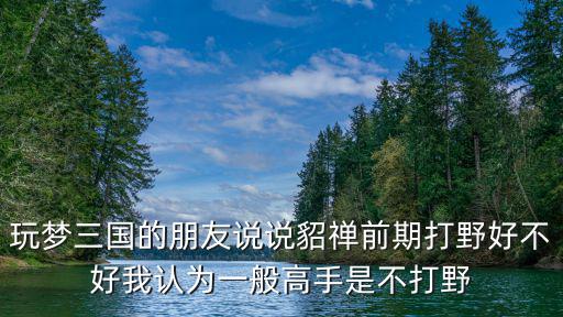 手游打野前期运营怎么样，作为一名运营应该从哪些方面评价一款手游