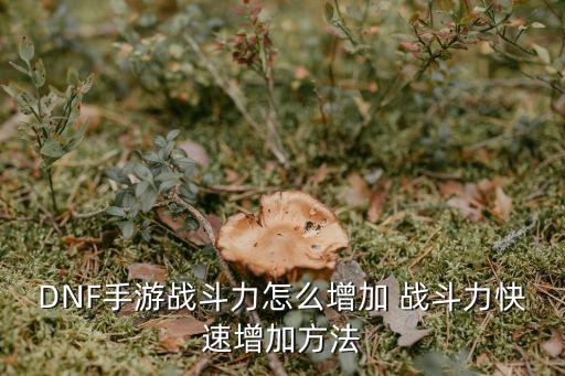 DNF手游战斗力怎么增加 战斗力快速增加方法