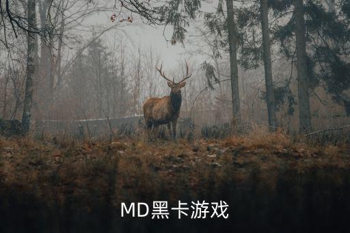 md手游怎么充值，MD黑卡游戏