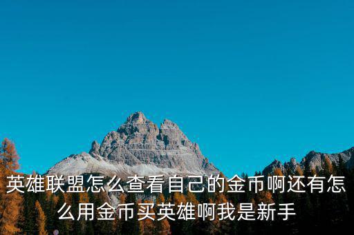 英雄联盟怎么查看自己的金币啊还有怎么用金币买英雄啊我是新手