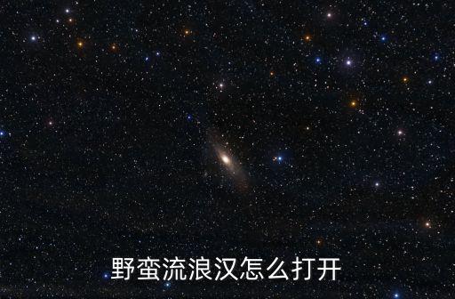 野蛮流浪汉怎么打开