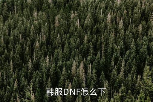 韩服DNF怎么下